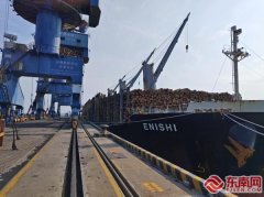 帮力“亿吨大港”扶植 莆田市莆头口岸进境原木